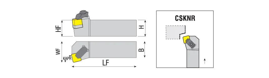 CSKNR/L-TP