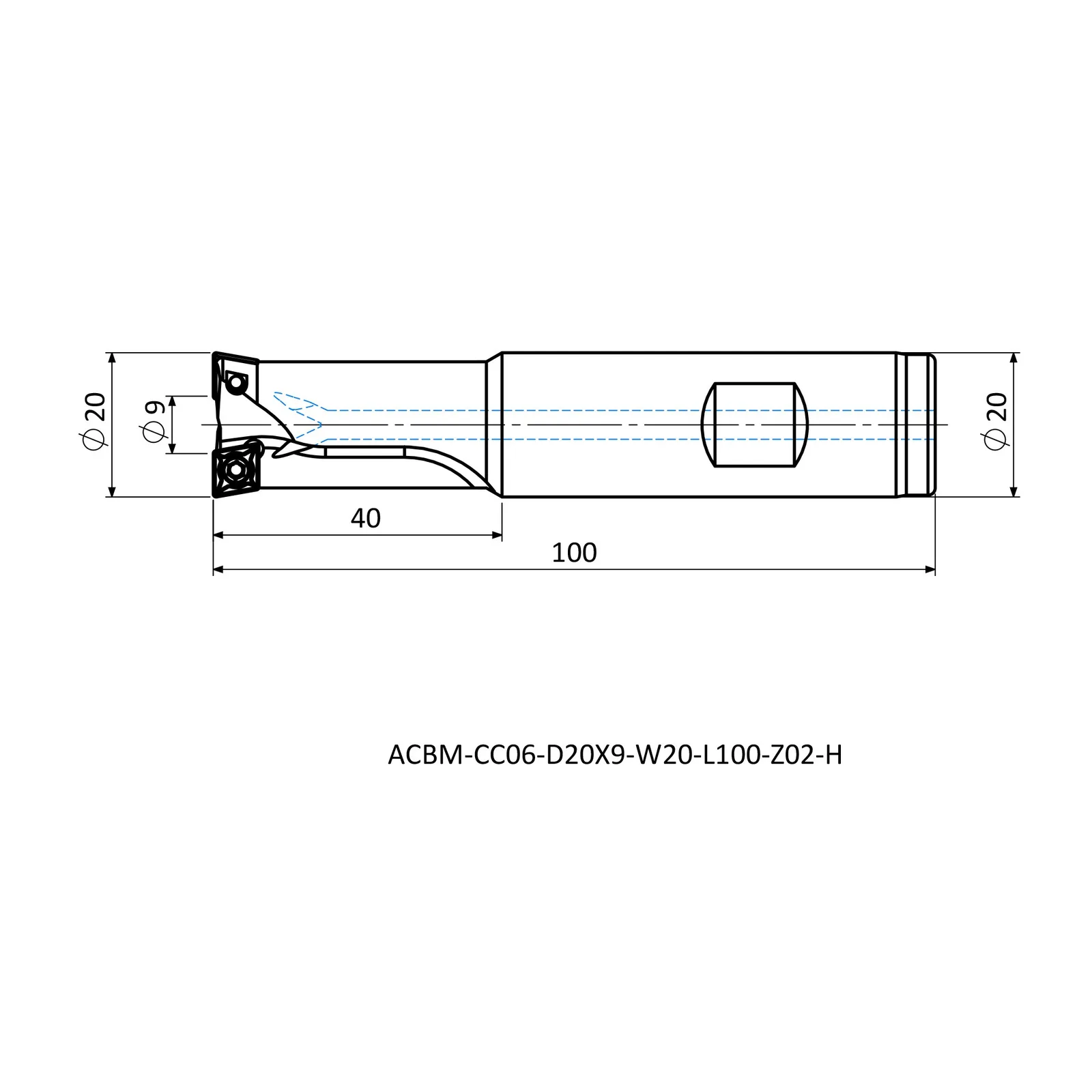 ACBM-CC06-D20X9-W20-L100-Z02-H &mdash; dimensioned drawing