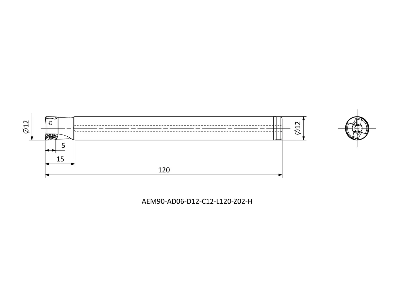 AEM90-AD06-D12-C12-L120-Z02-H &mdash; dimensioned drawing