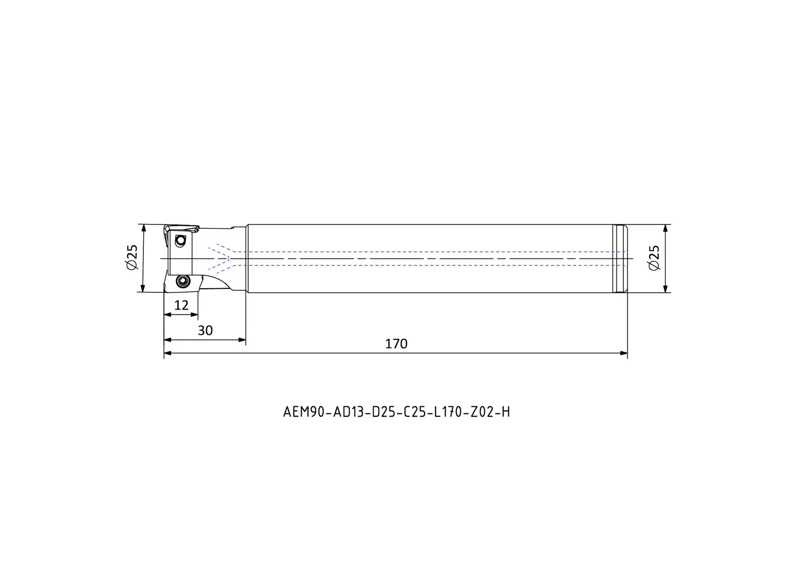 AEM90-AD13-D25-C25-L170-Z02-H &mdash; dimensioned drawing
