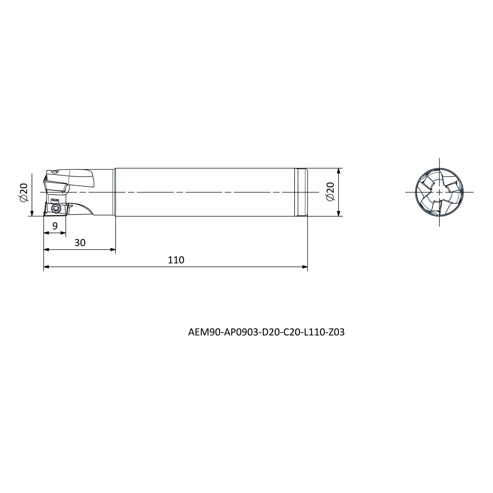 AEM90-AP0903-D20-C20-L110-Z03 &mdash; dimensioned drawing