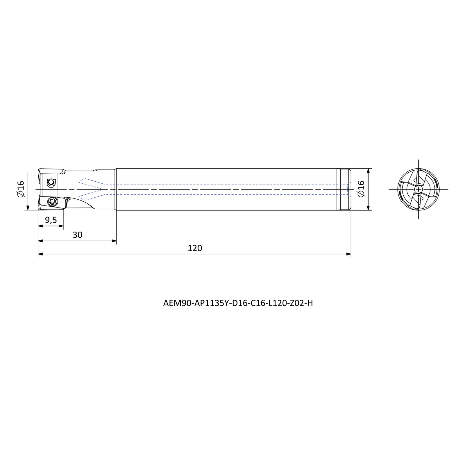 AEM90-AP1135Y-D16-C16-L120-Z02-H &mdash; dimensioned drawing