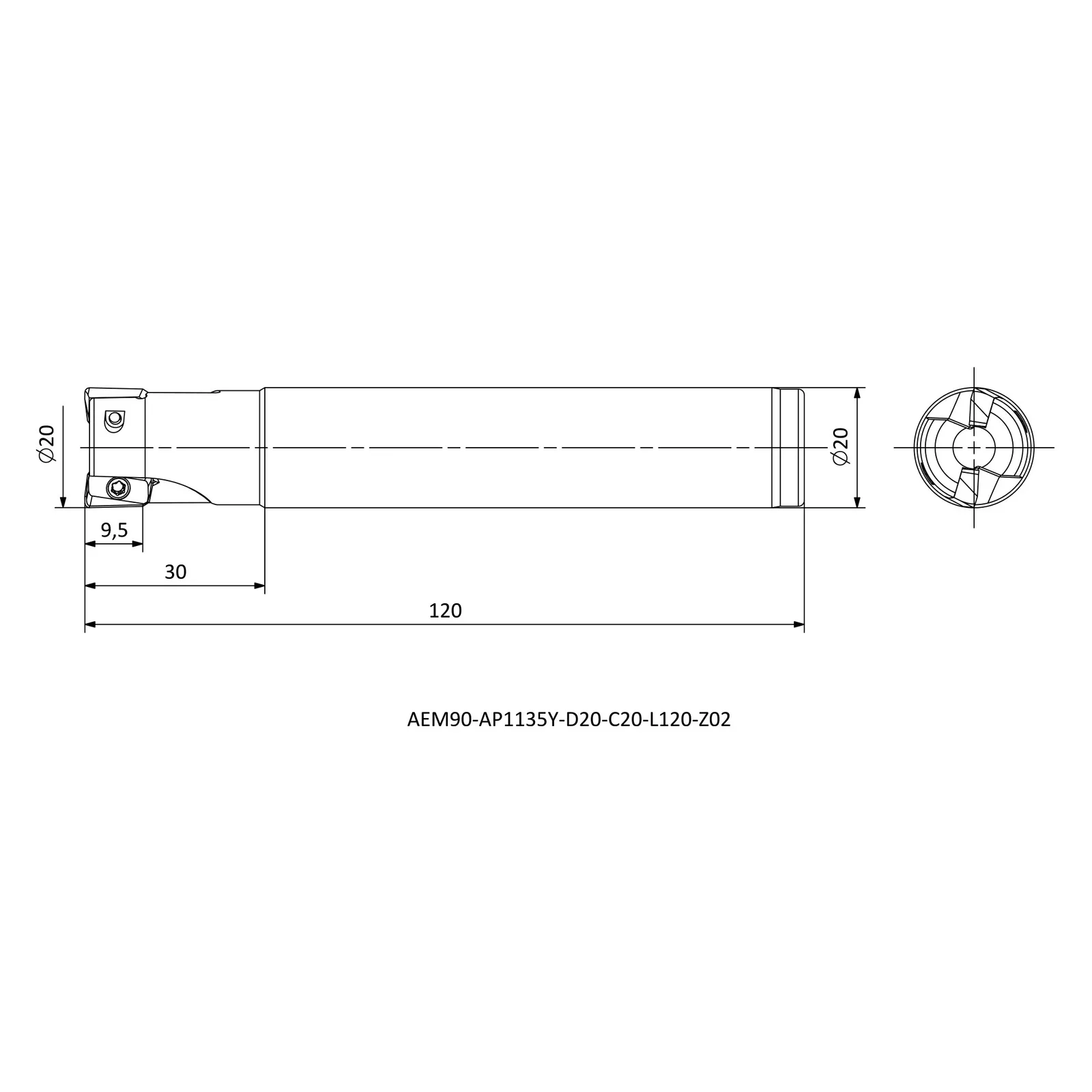AEM90-AP1135Y-D20-C20-L120-Z02 &mdash; dimensioned drawing