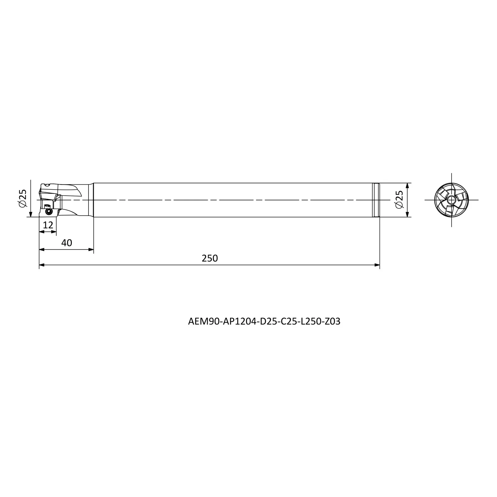 AEM90-AP1204-D25-C25-L250-Z03 &mdash; dimensioned drawing