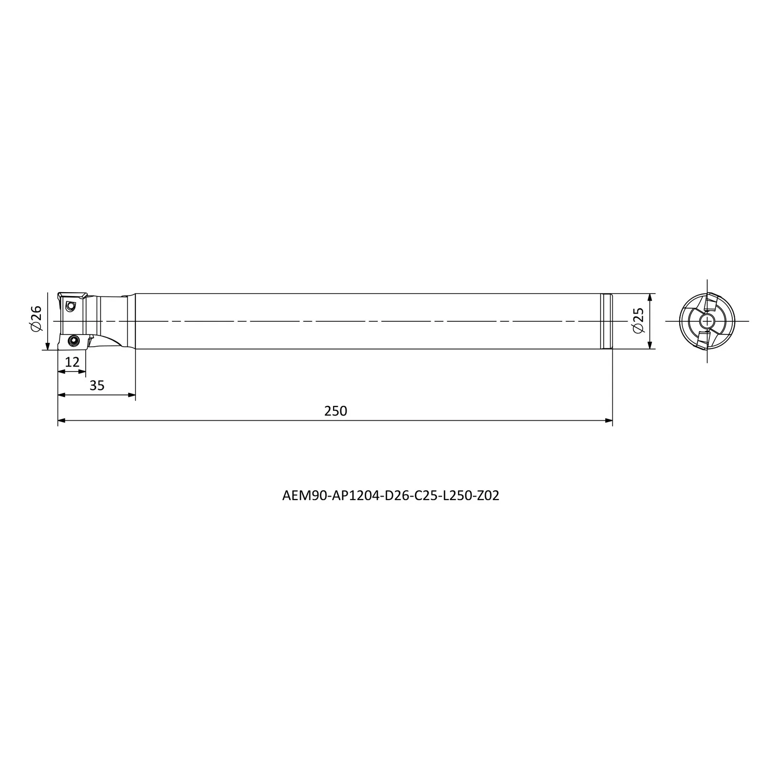 AEM90-AP1204-D26-C25-L250-Z02 &mdash; dimensioned drawing