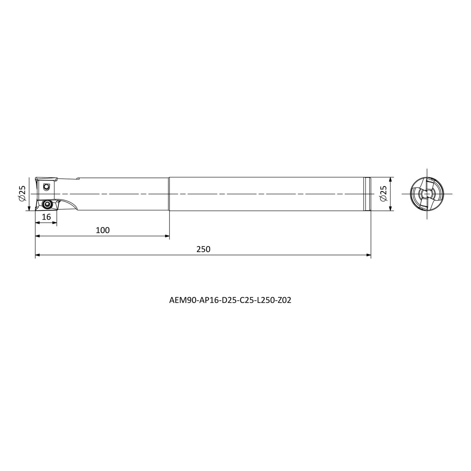 AEM90-AP16-D25-C25-L250-Z02 &mdash; dimensioned drawing