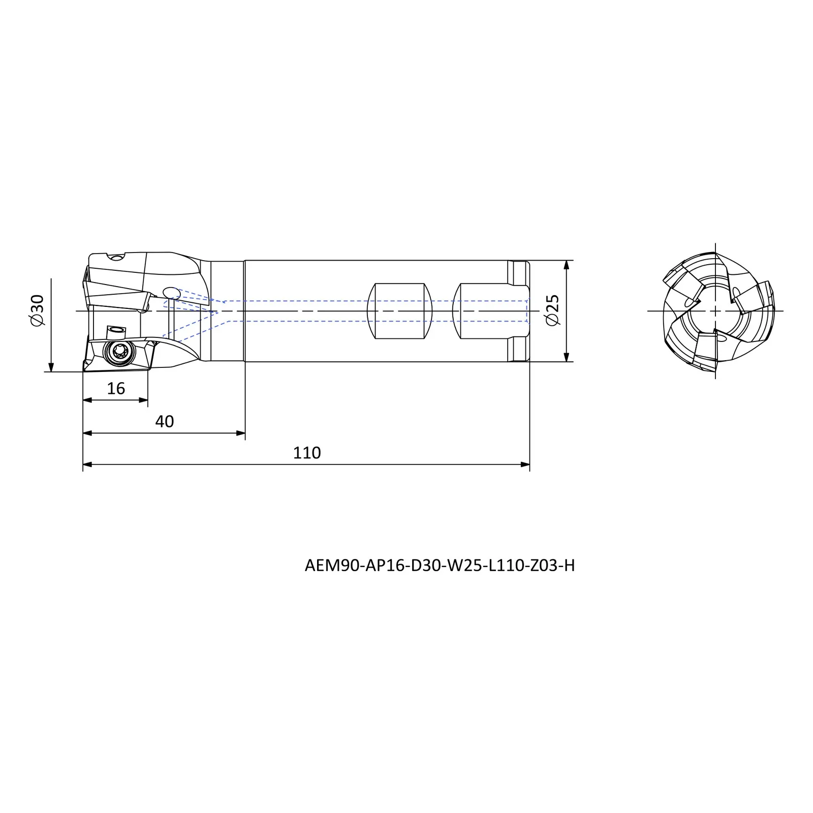 AEM90-AP16-D30-W25-L110-Z03-H &mdash; dimensioned drawing