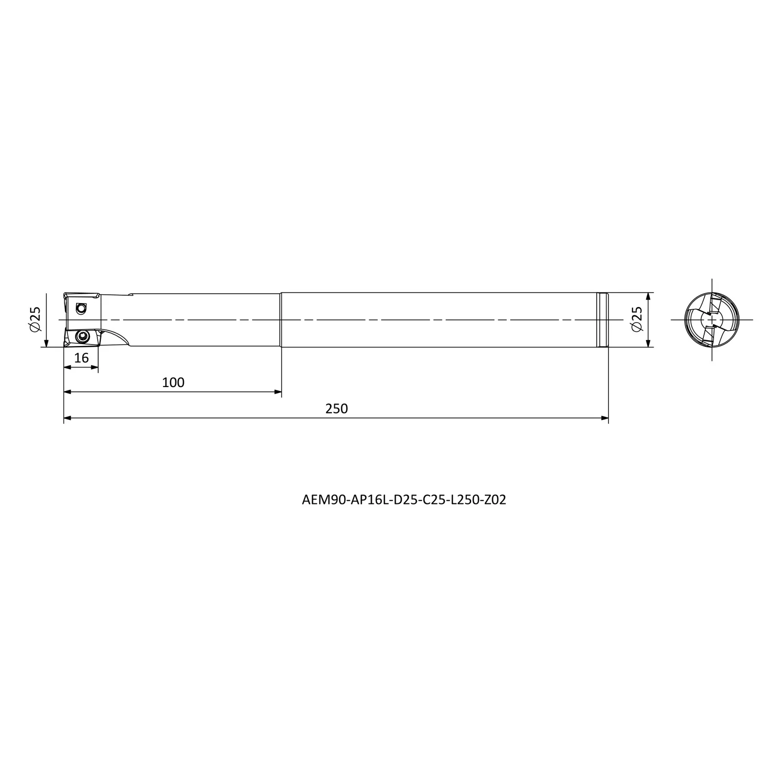 AEM90-AP16L-D25-C25-L250-Z02 &mdash; dimensioned drawing