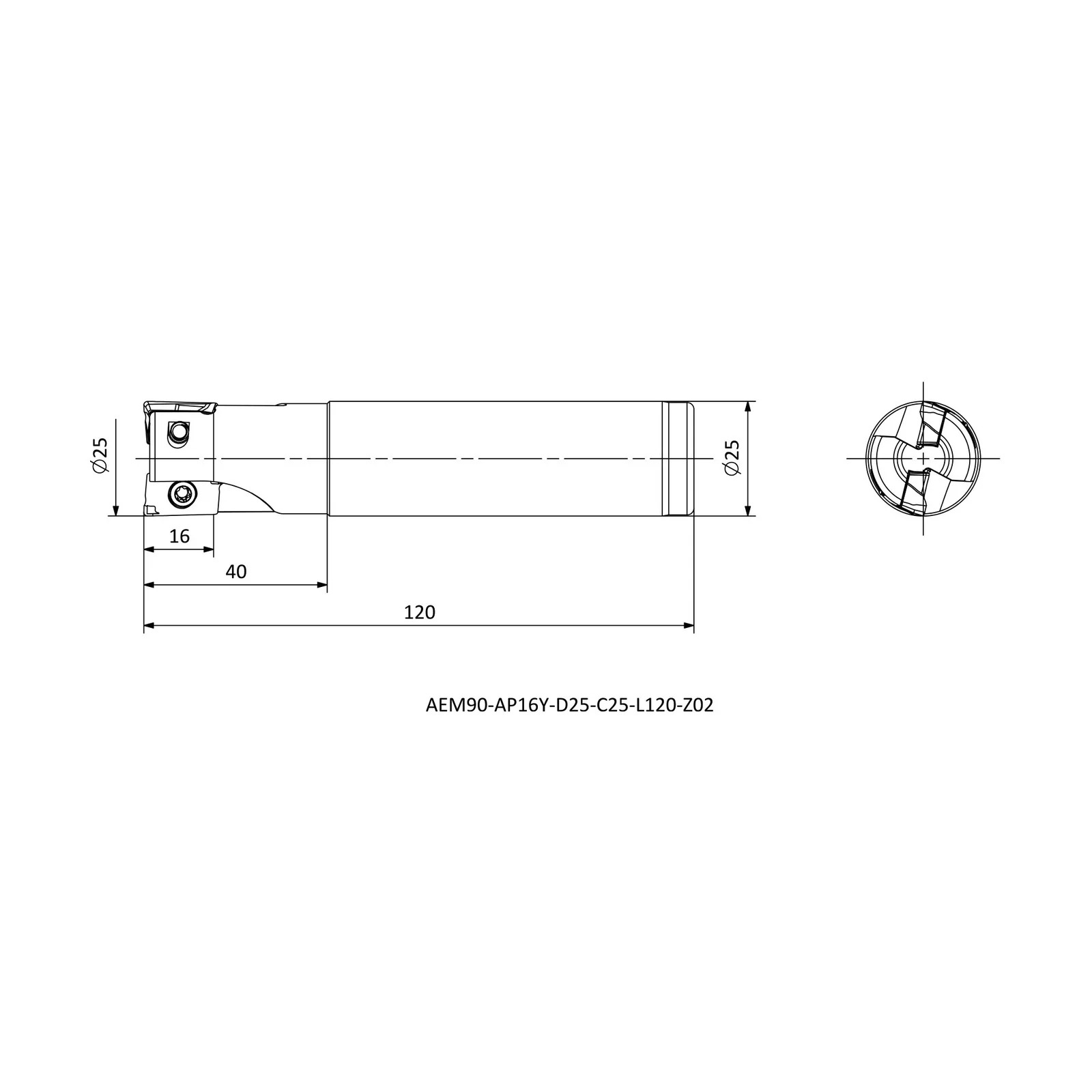 AEM90-AP16Y-D25-C25-L120-Z02 &mdash; dimensioned drawing