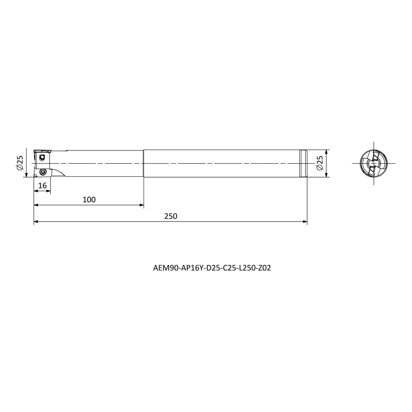 AEM90-AP16Y-D25-C25-L250-Z02 &mdash; dimensioned drawing