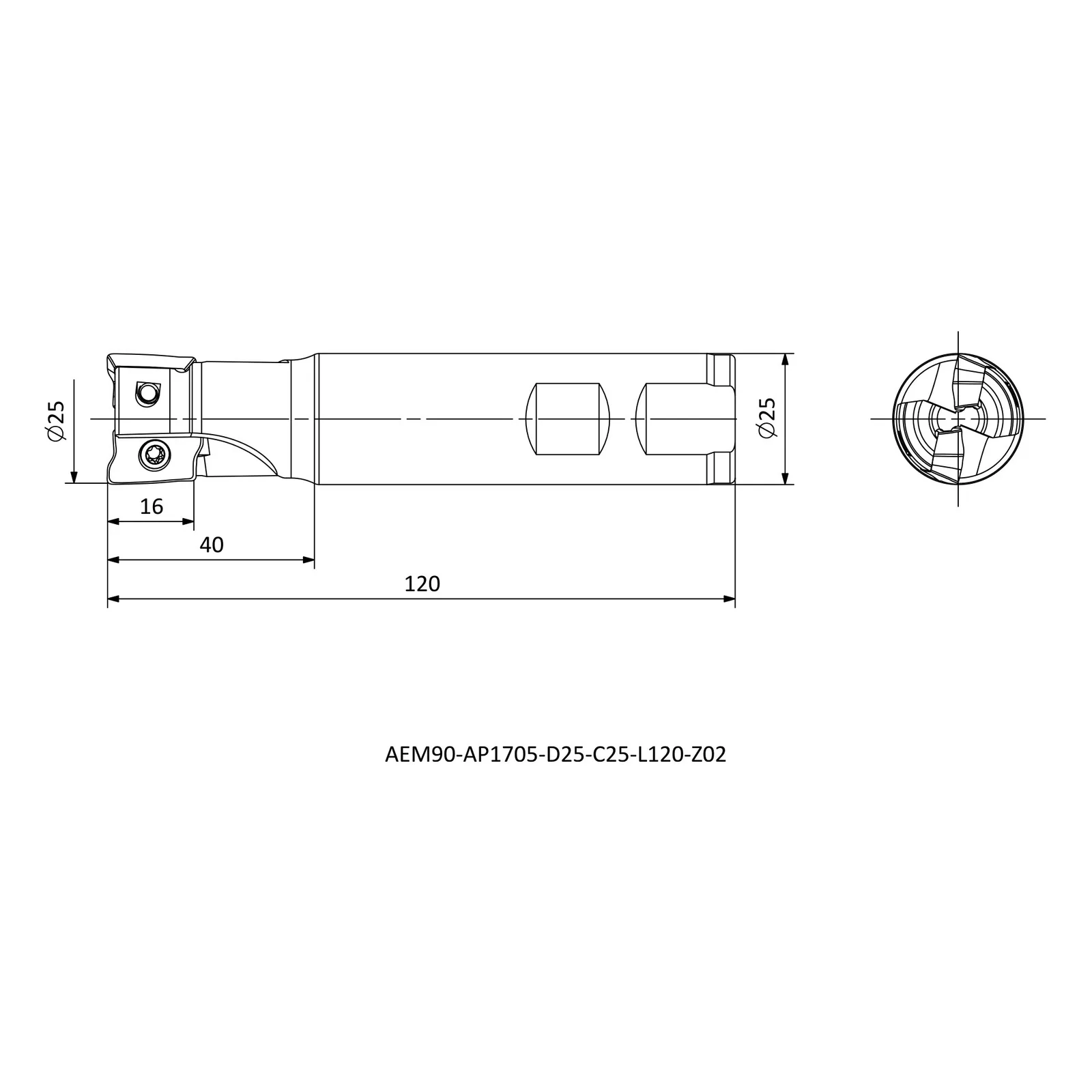 AEM90-AP1705-D25-C25-L120-Z02 &mdash; dimensioned drawing