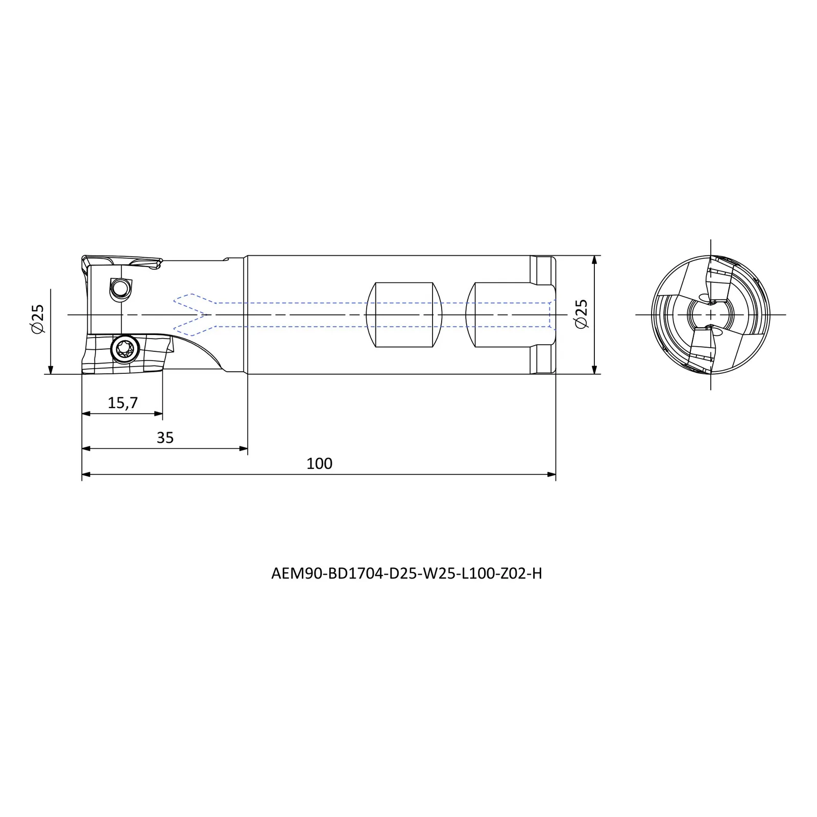 AEM90-BD1704-D25-W25-L100-Z02-H &mdash; dimensioned drawing