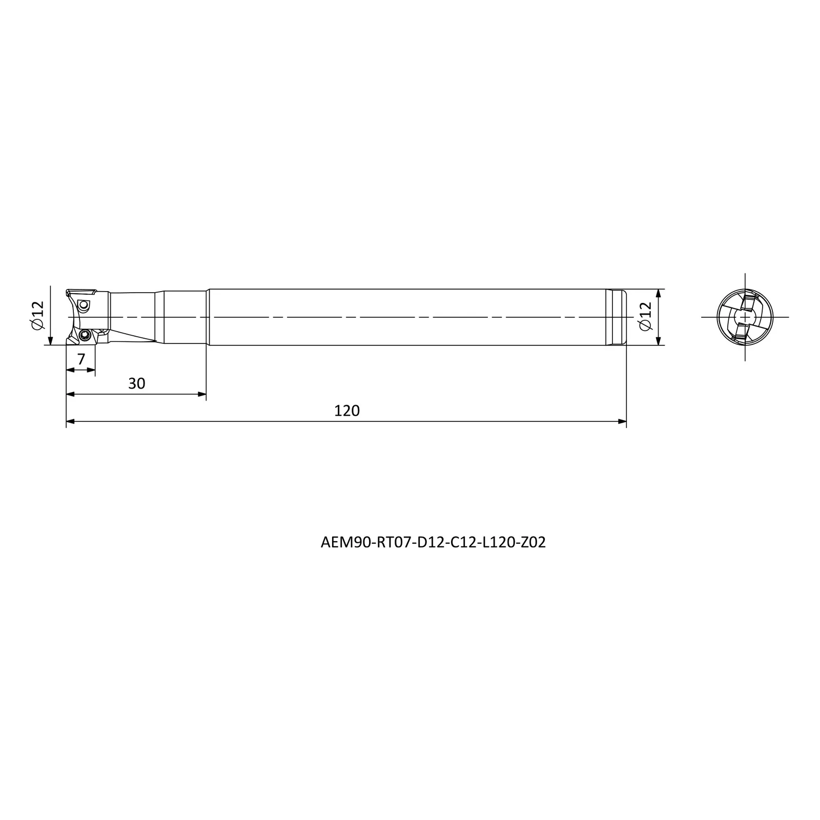 AEM90-RT07-D12-C12-L120-Z02 &mdash; dimensioned drawing