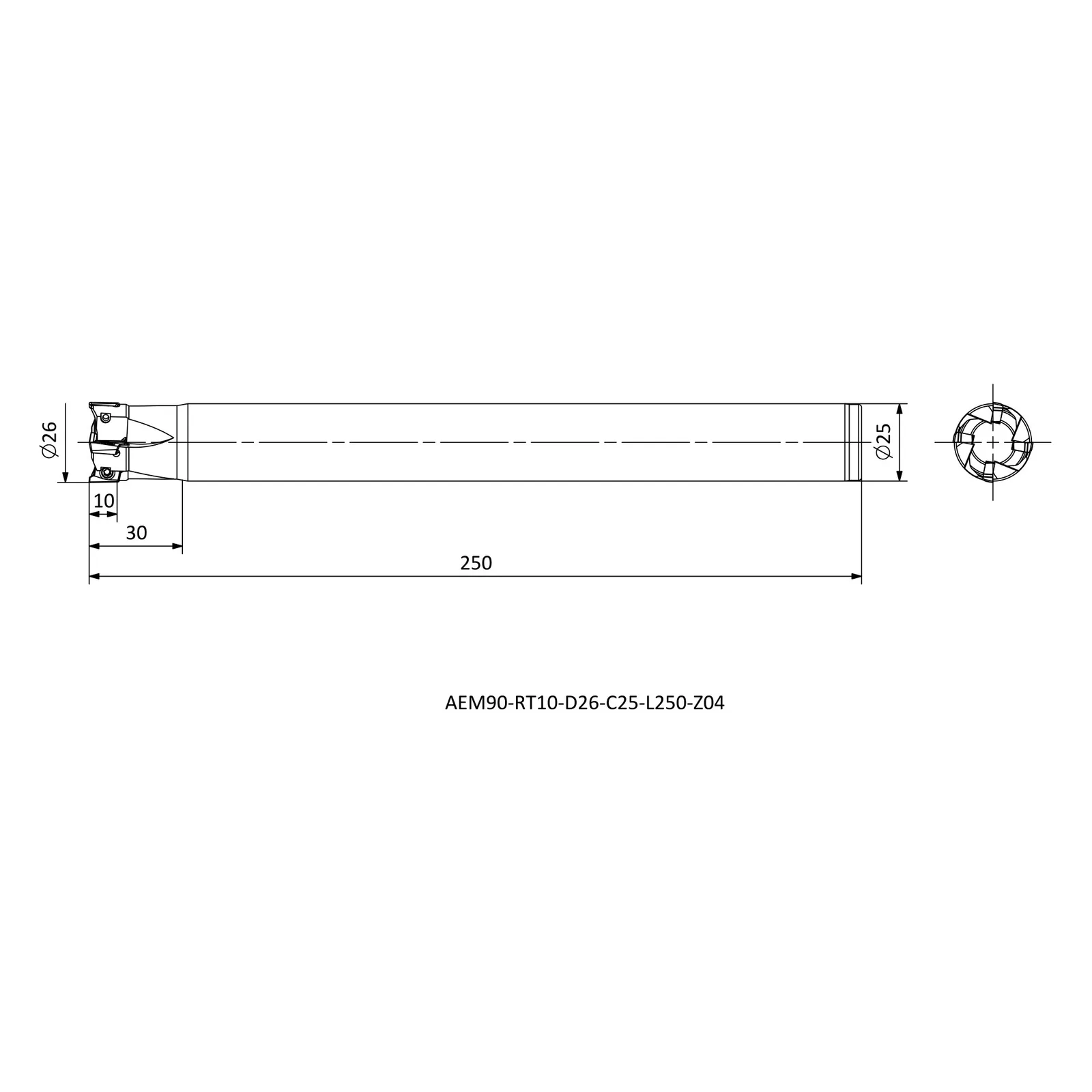 AEM90-RT10-D26-C25-L250-Z04 &mdash; dimensioned drawing