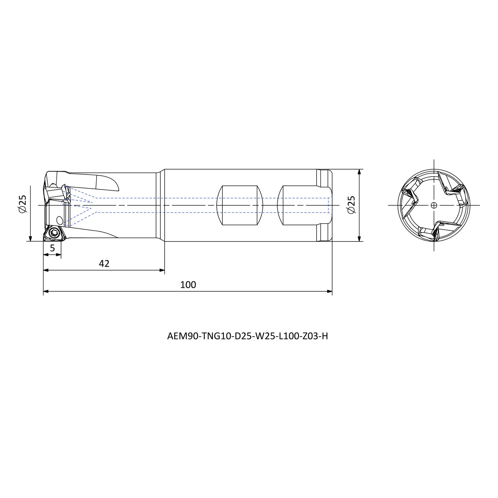 AEM90-TNG10-D25-W25-L100-Z03-H &mdash; dimensioned drawing