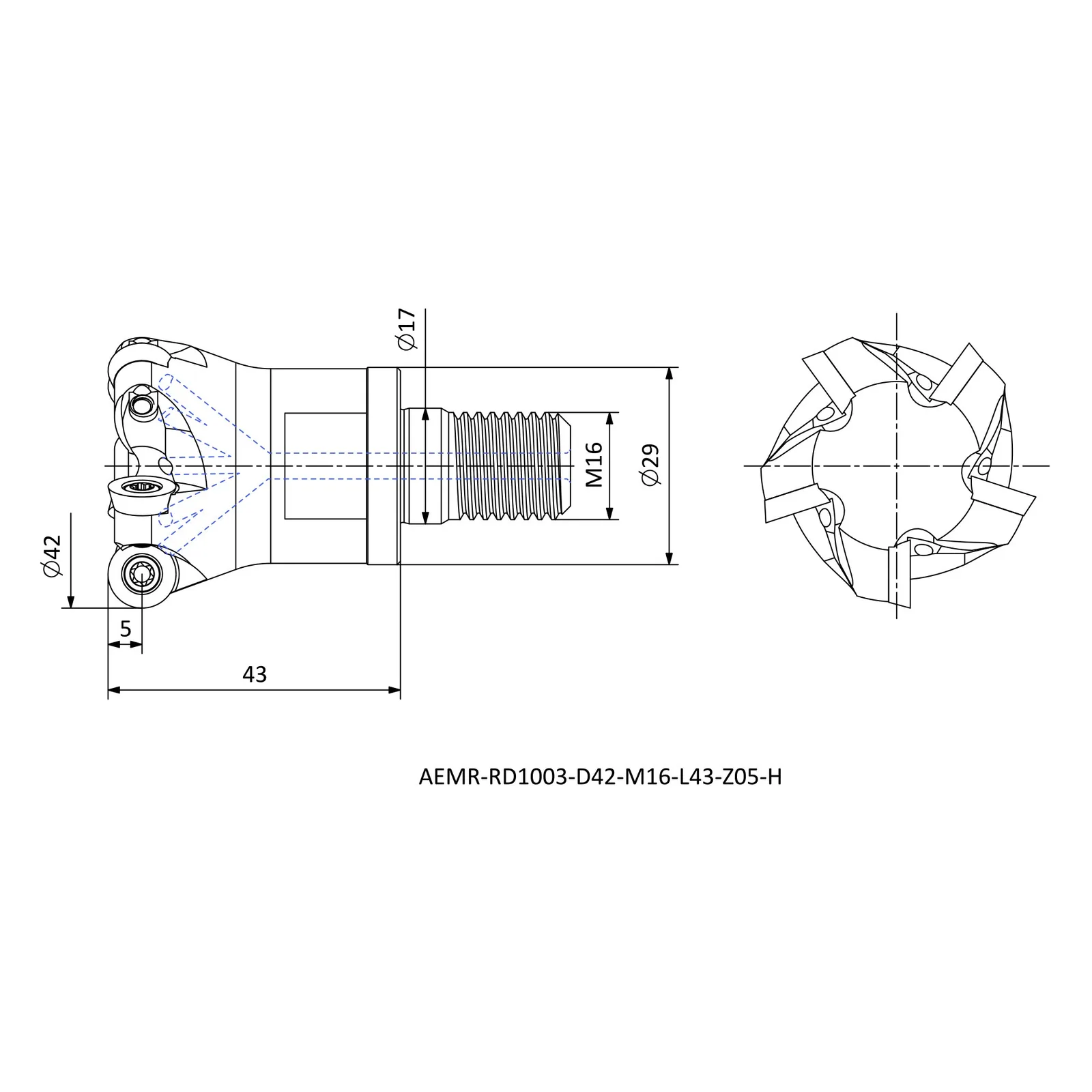 AEMR-RD1003-D42-M16-L43-Z05-H &mdash; dimensioned drawing