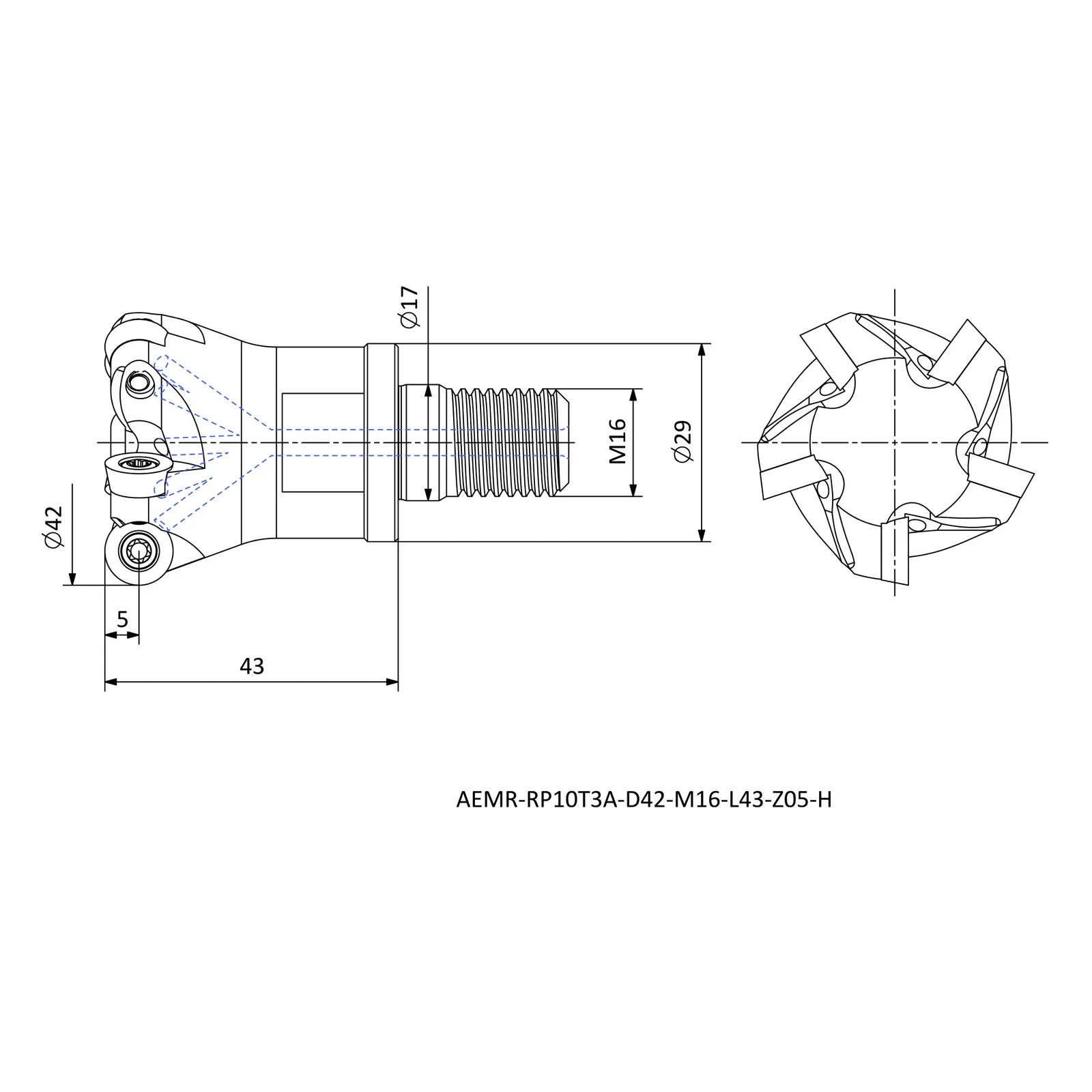 AEMR-RP10T3A-D42-M16-L43-Z05-H &mdash; dimensioned drawing