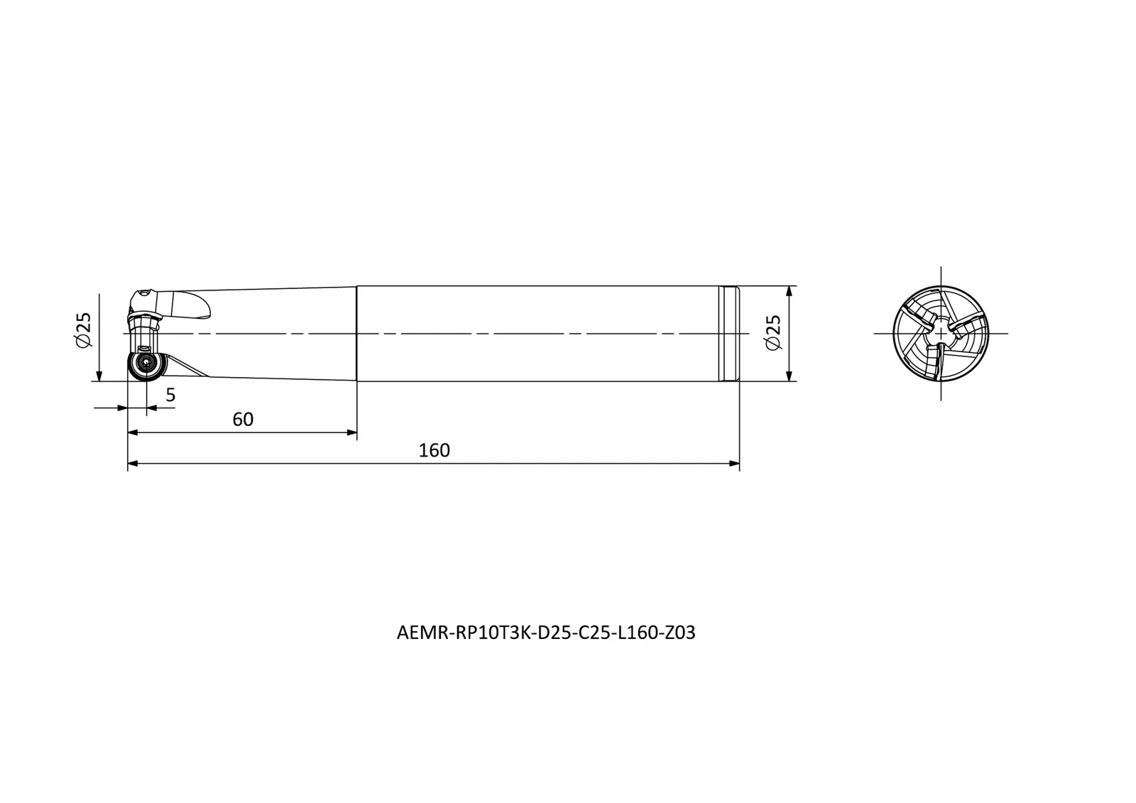 AEMR-RP10T3K-D25-C25-L160-Z03 &mdash; dimensioned drawing