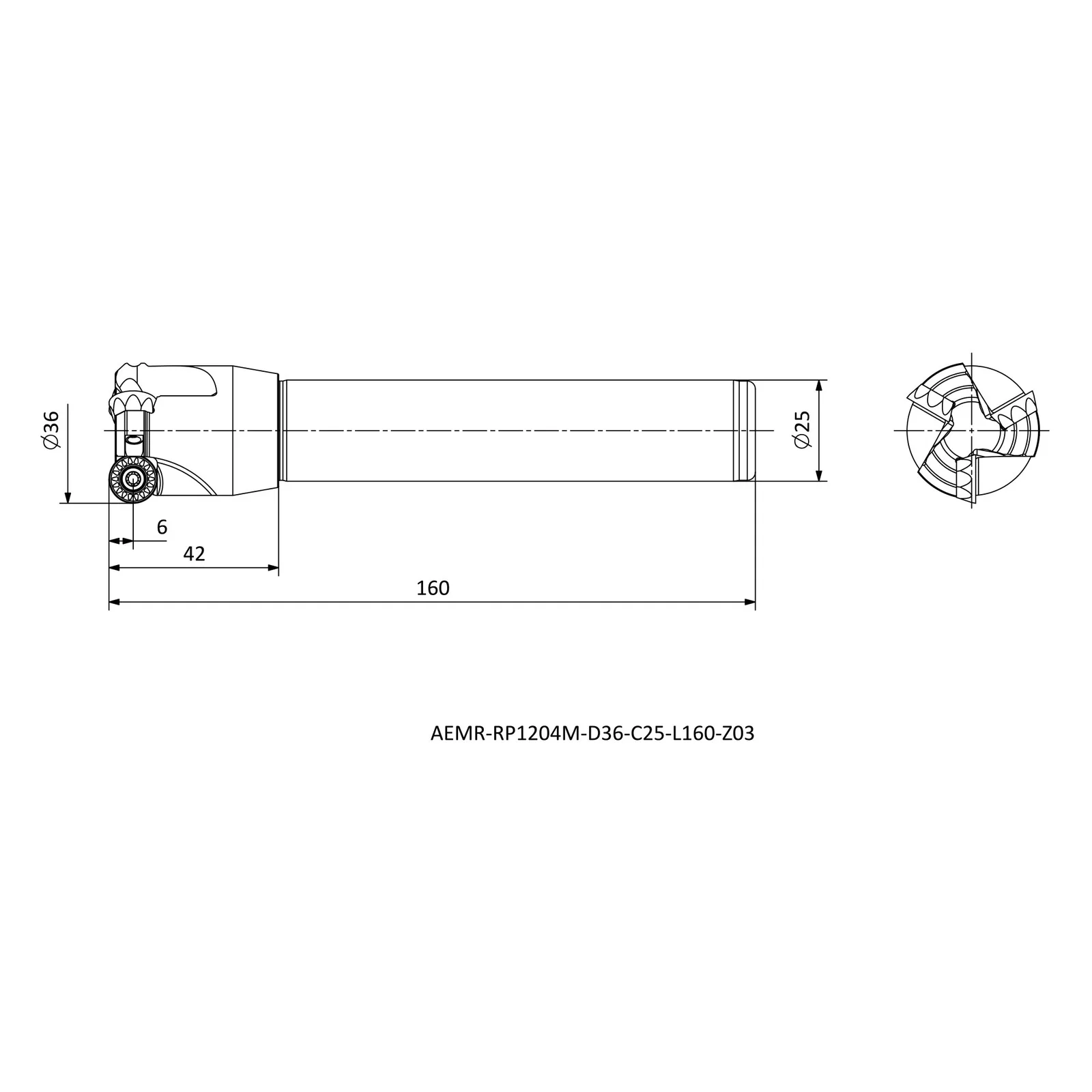 AEMR-RP1204M-D36-C25-L160-Z03 &mdash; dimensioned drawing