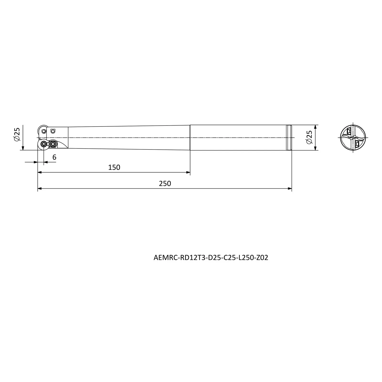 AEMRC-RD12T3-D25-C25-L250-Z02 &mdash; dimensioned drawing