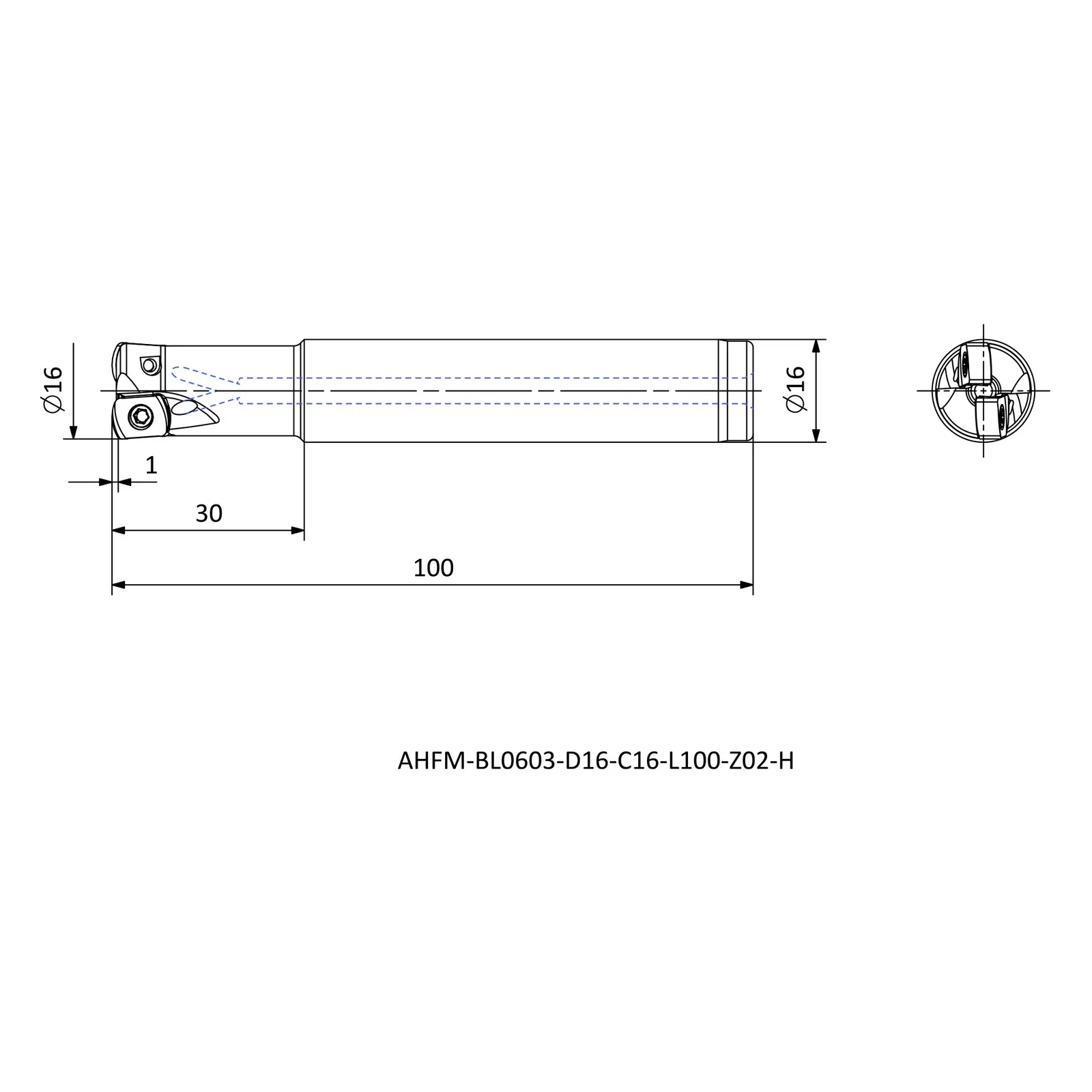 AHFM-BL0603-D16-C16-L100-Z02-H &mdash; dimensioned drawing