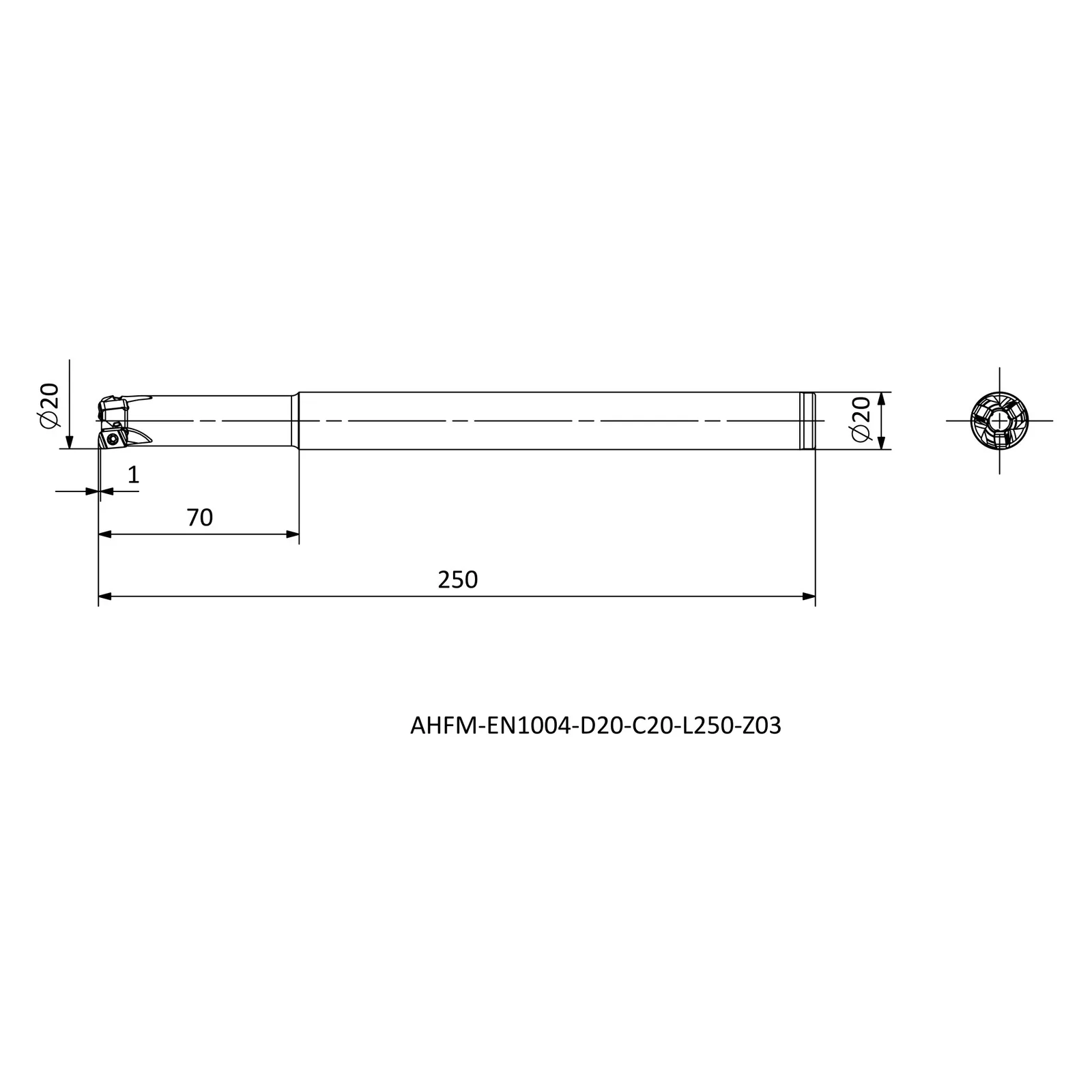 AHFM-EN1004-D20-C20-L250-Z03 &mdash; dimensioned drawing