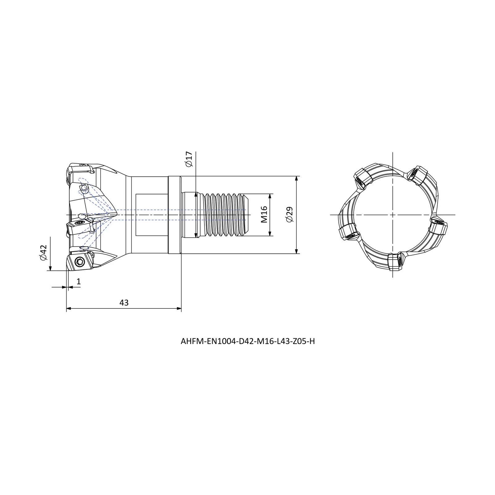 AHFM-EN1004-D42-M16-L43-Z05-H &mdash; dimensioned drawing