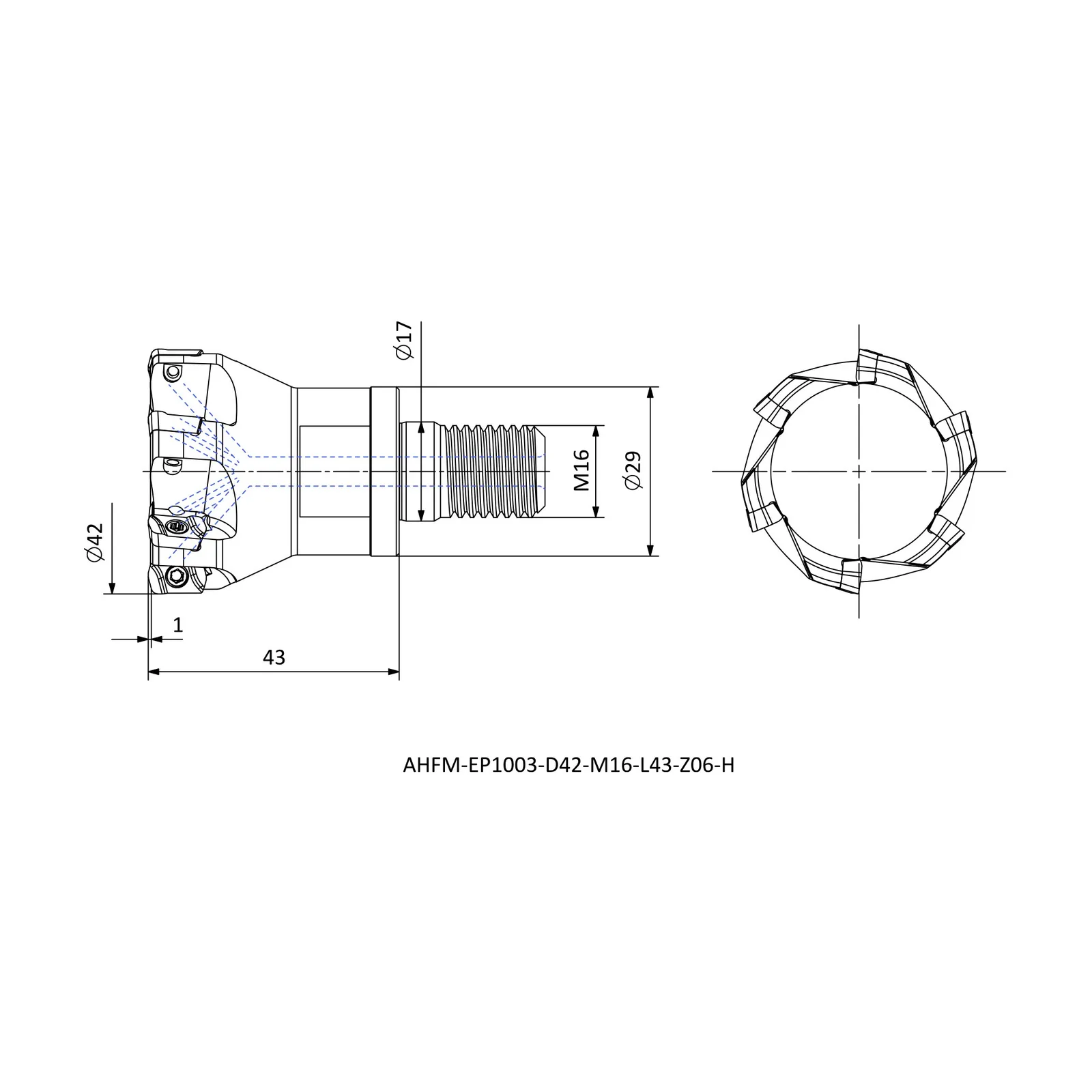 AHFM-EP1003-D42-M16-L43-Z06-H &mdash; dimensioned drawing