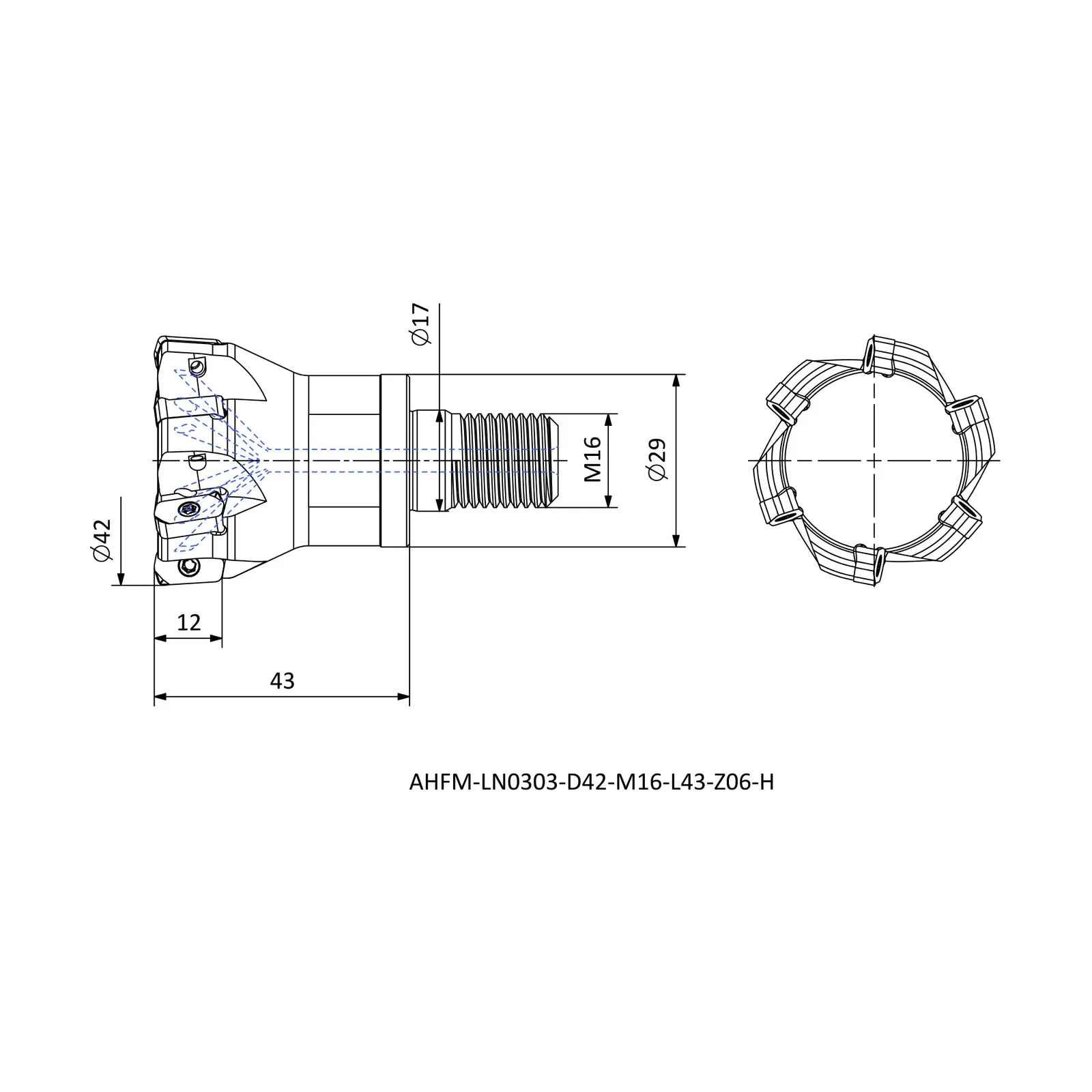 AHFM-LN0303-D42-M16-L43-Z06-H &mdash; dimensioned drawing