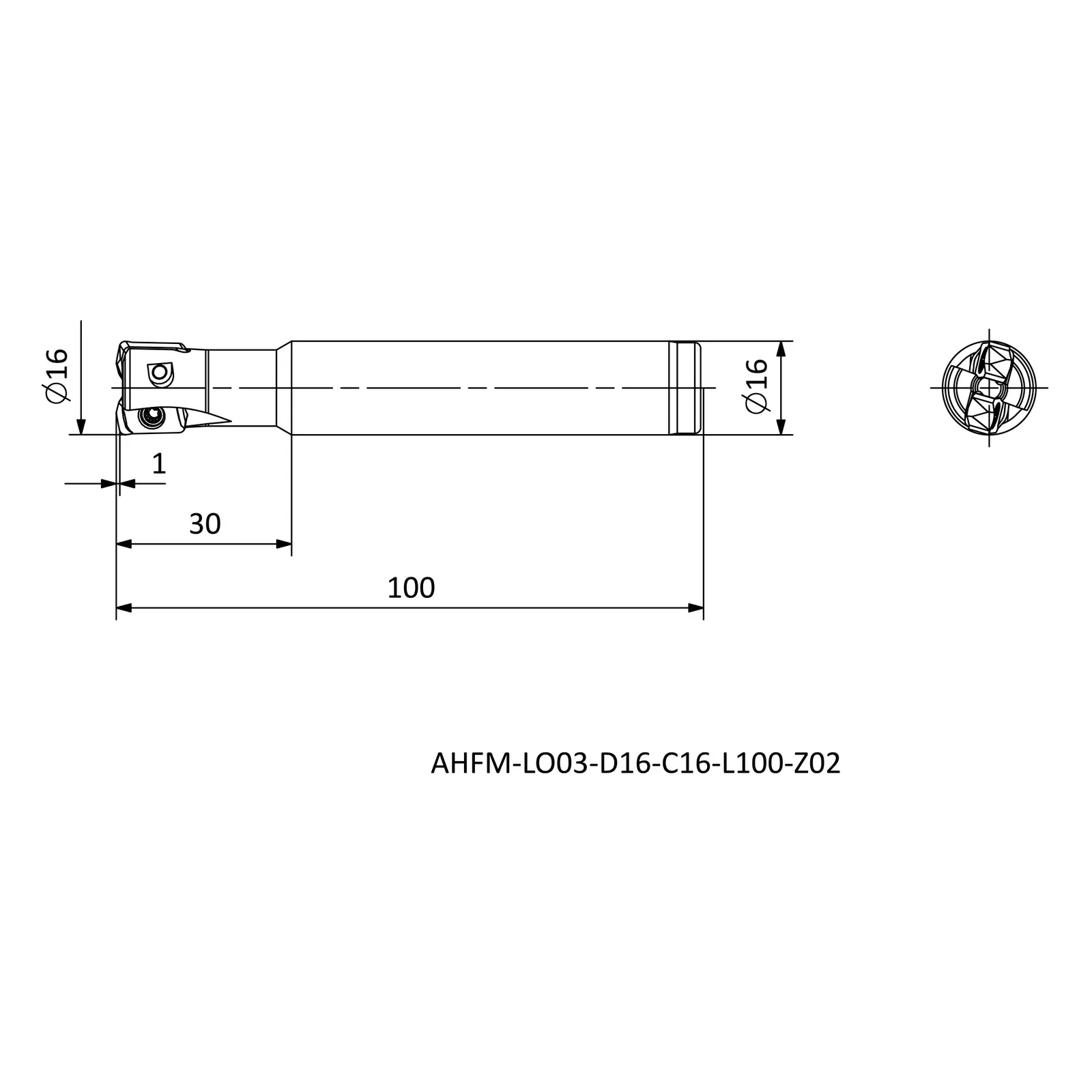 AHFM-LO03-D16-C16-L100-Z02 &mdash; dimensioned drawing