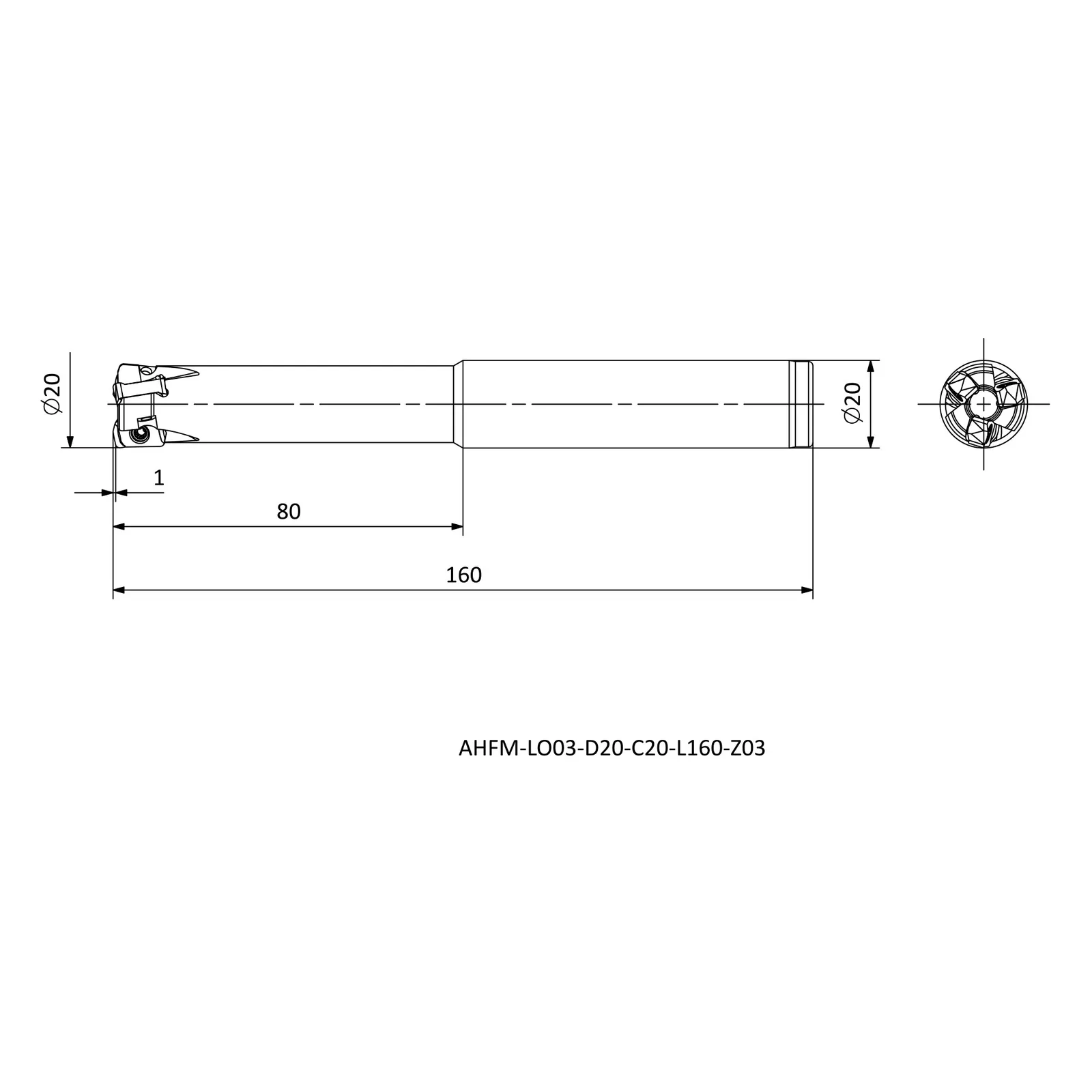 AHFM-LO03-D20-C20-L160-Z03 &mdash; dimensioned drawing