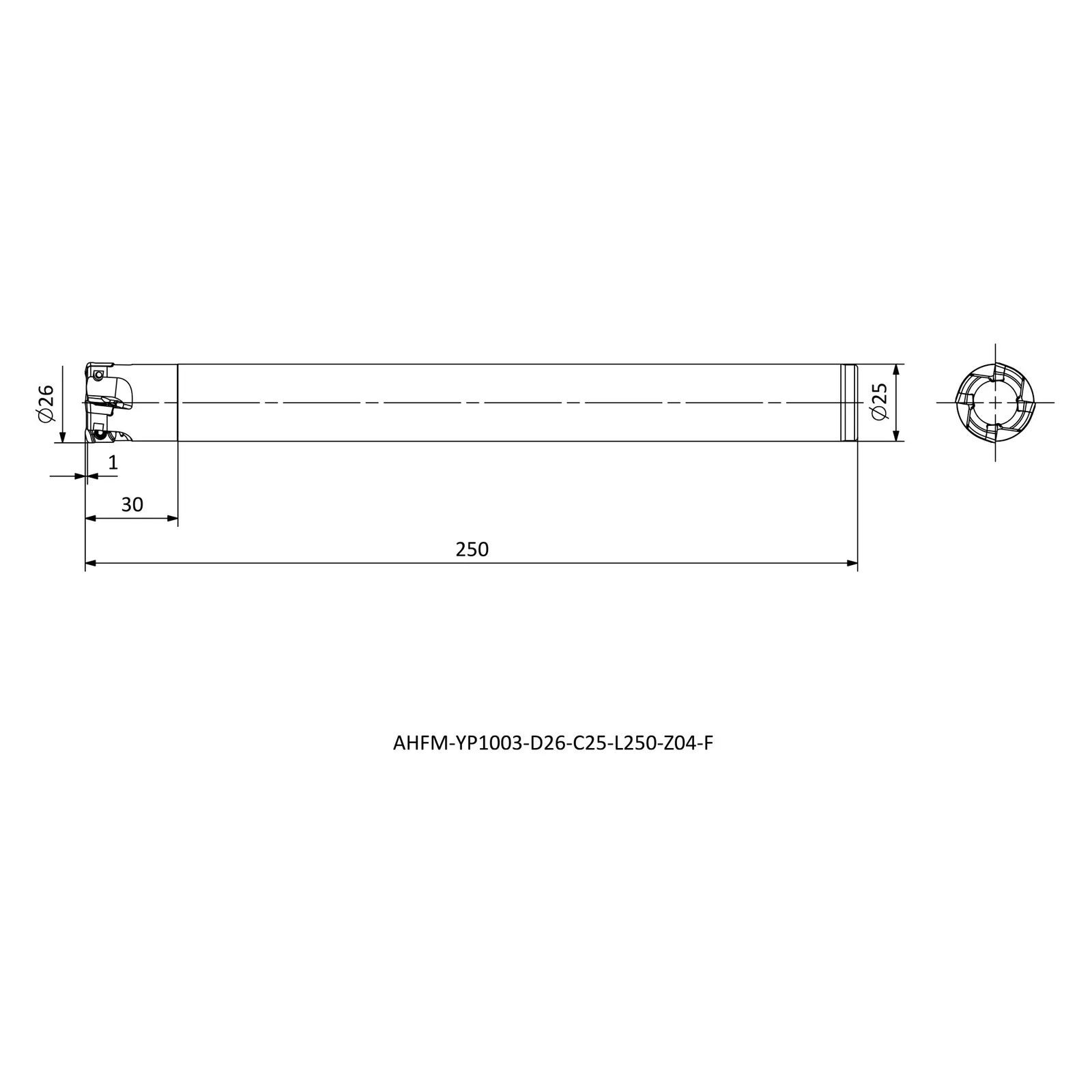 AHFM-YP1003-D26-C25-L250-Z04-F &mdash; dimensioned drawing