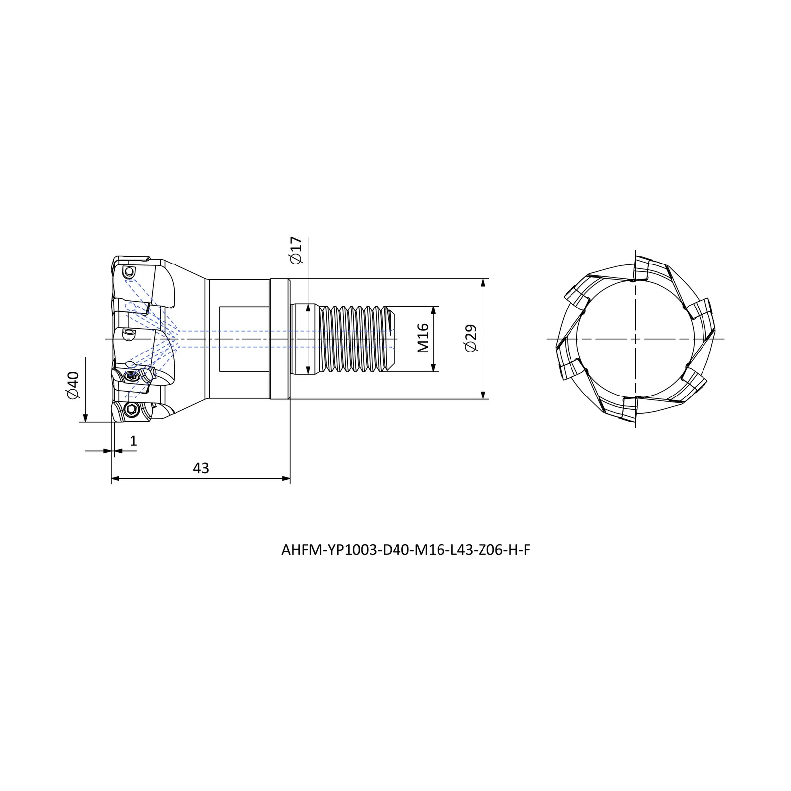AHFM-YP1003-D40-M16-L43-Z06-H-F &mdash; dimensioned drawing