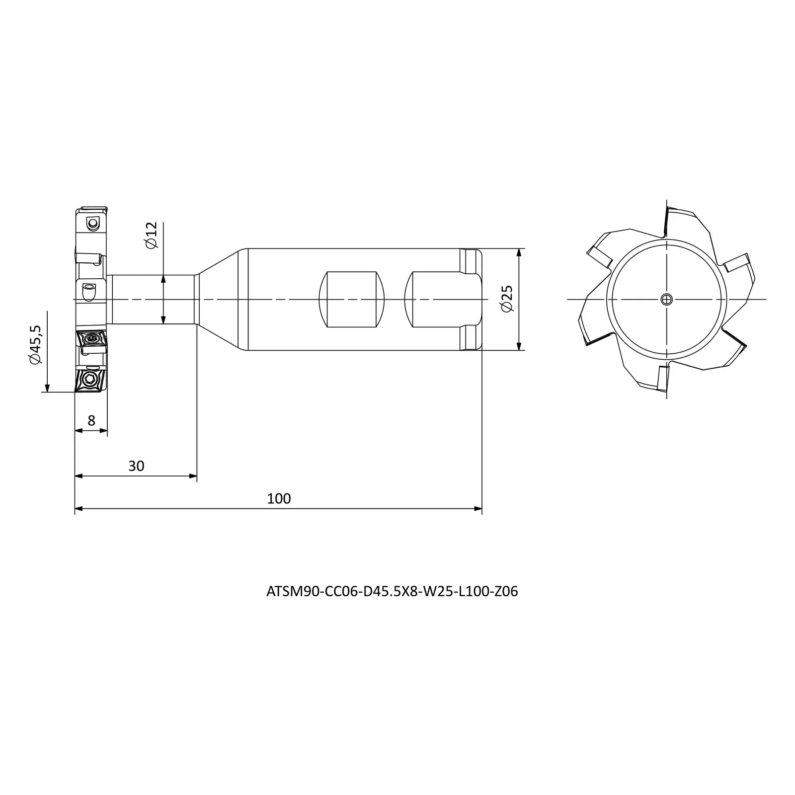 ATSM90-CC06-D45.5X8-W25-L100-Z06 &mdash; dimensioned drawing