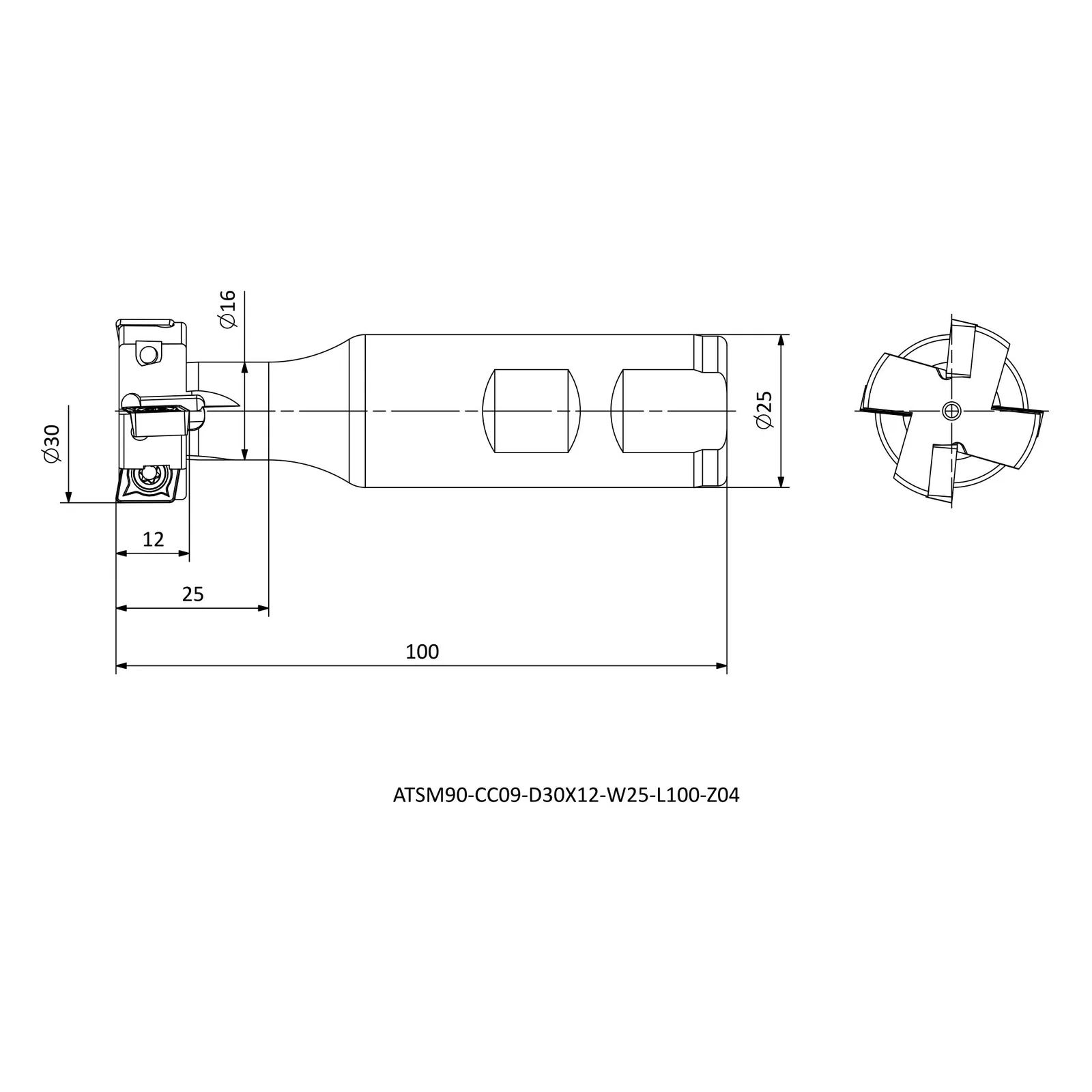 ATSM90-CC09-D30X12-W25-L100-Z04 &mdash; dimensioned drawing