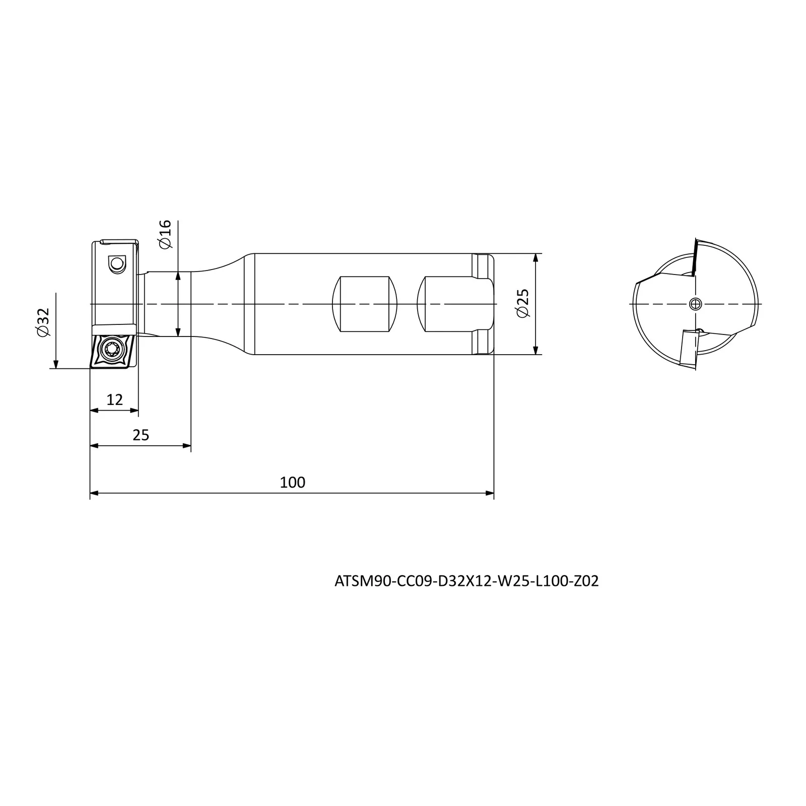 ATSM90-CC09-D32X12-W25-L100-Z02 &mdash; dimensioned drawing
