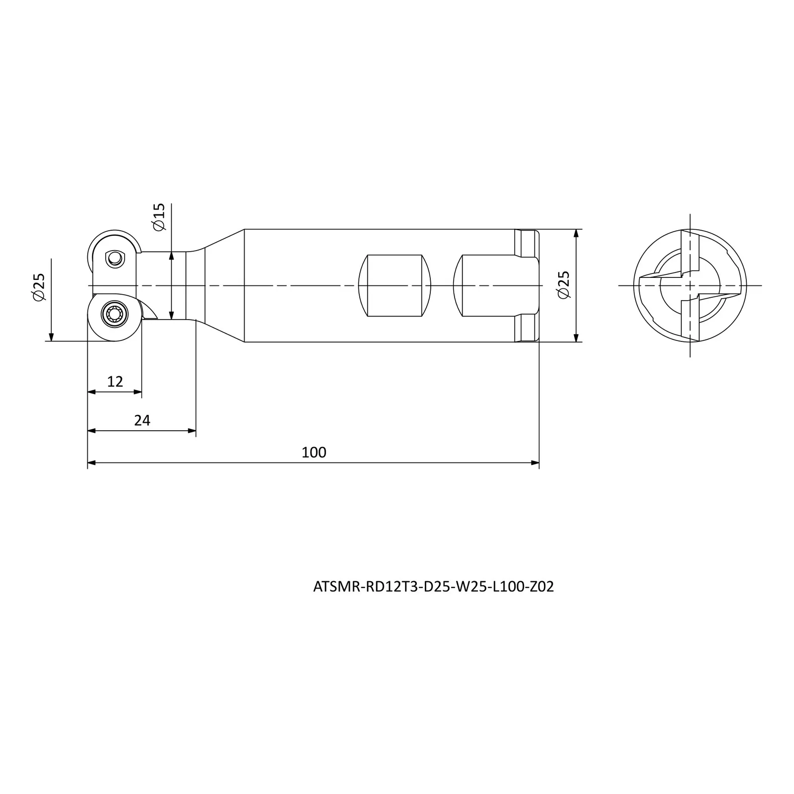ATSMR-RD12T3-D25-W25-L100-Z02 &mdash; dimensioned drawing